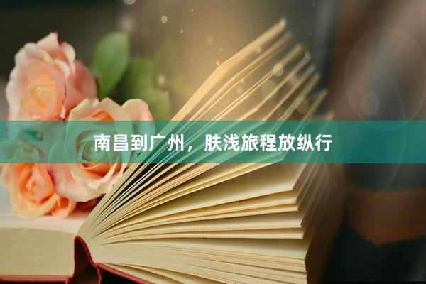 南昌到广州，肤浅旅程放纵行