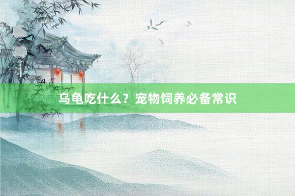 乌龟吃什么？宠物饲养必备常识