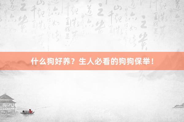 什么狗好养？生人必看的狗狗保举！