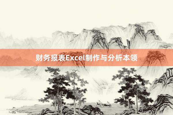 财务报表Excel制作与分析本领